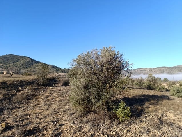 Mark till salu i Raspay, Yecla - 17 500 € (Ref: 8742741)