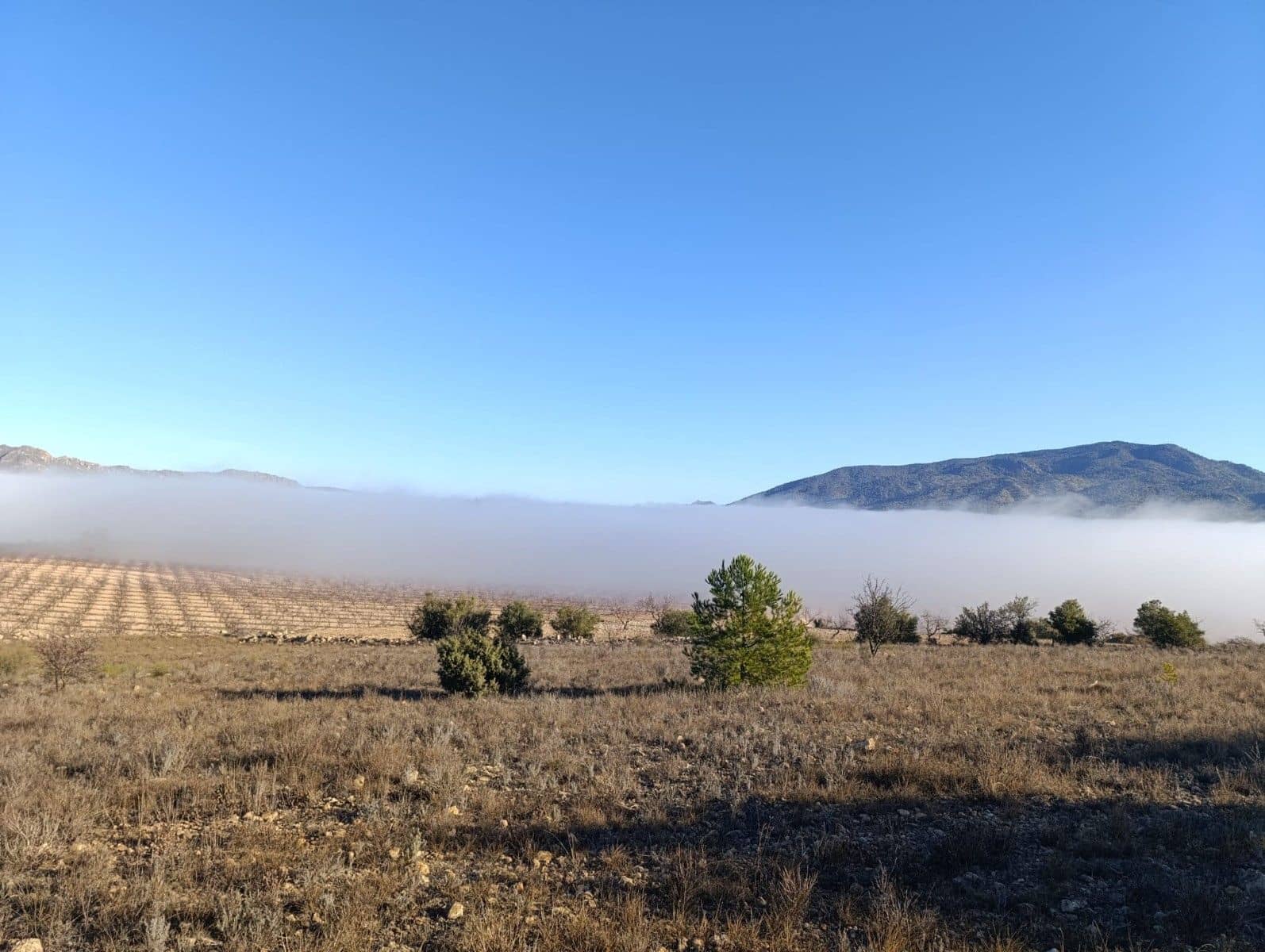 Undeveloped Land for sale in Raspay - € 17,500 (Ref: 8742741)