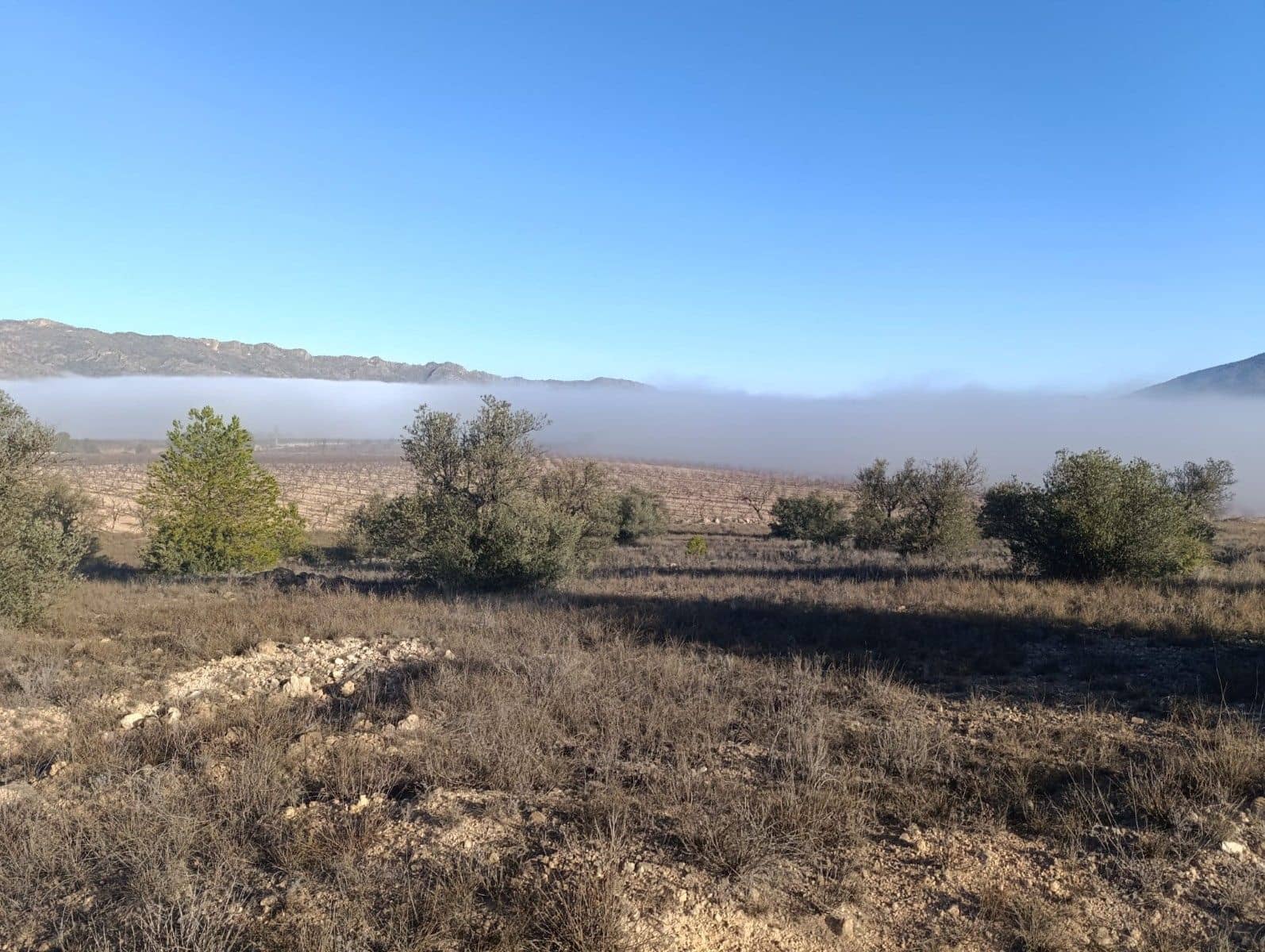 Undeveloped Land for sale in Raspay - € 17,500 (Ref: 8742741)
