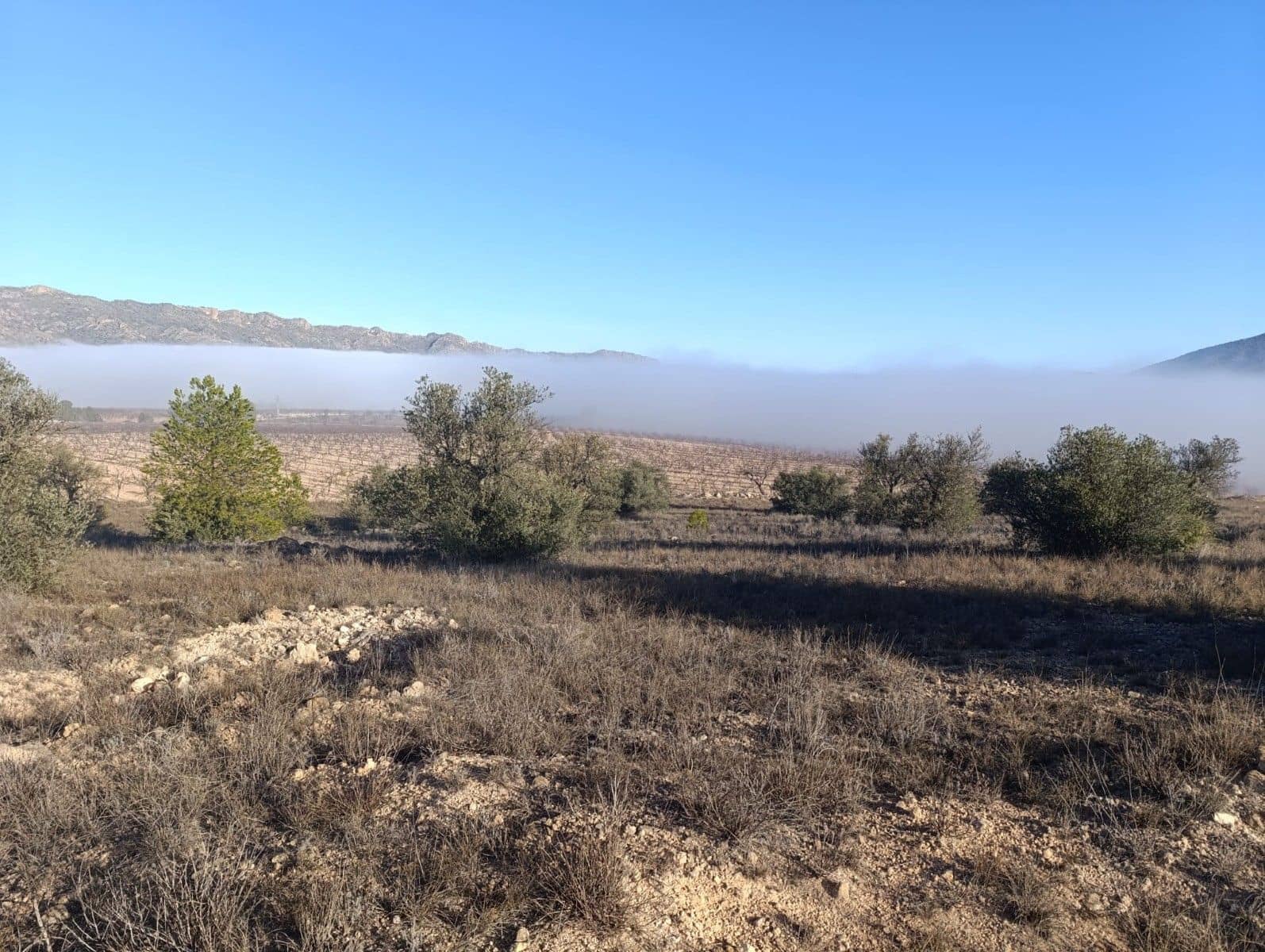Undeveloped Land for sale in Raspay - € 17,500 (Ref: 8742741)