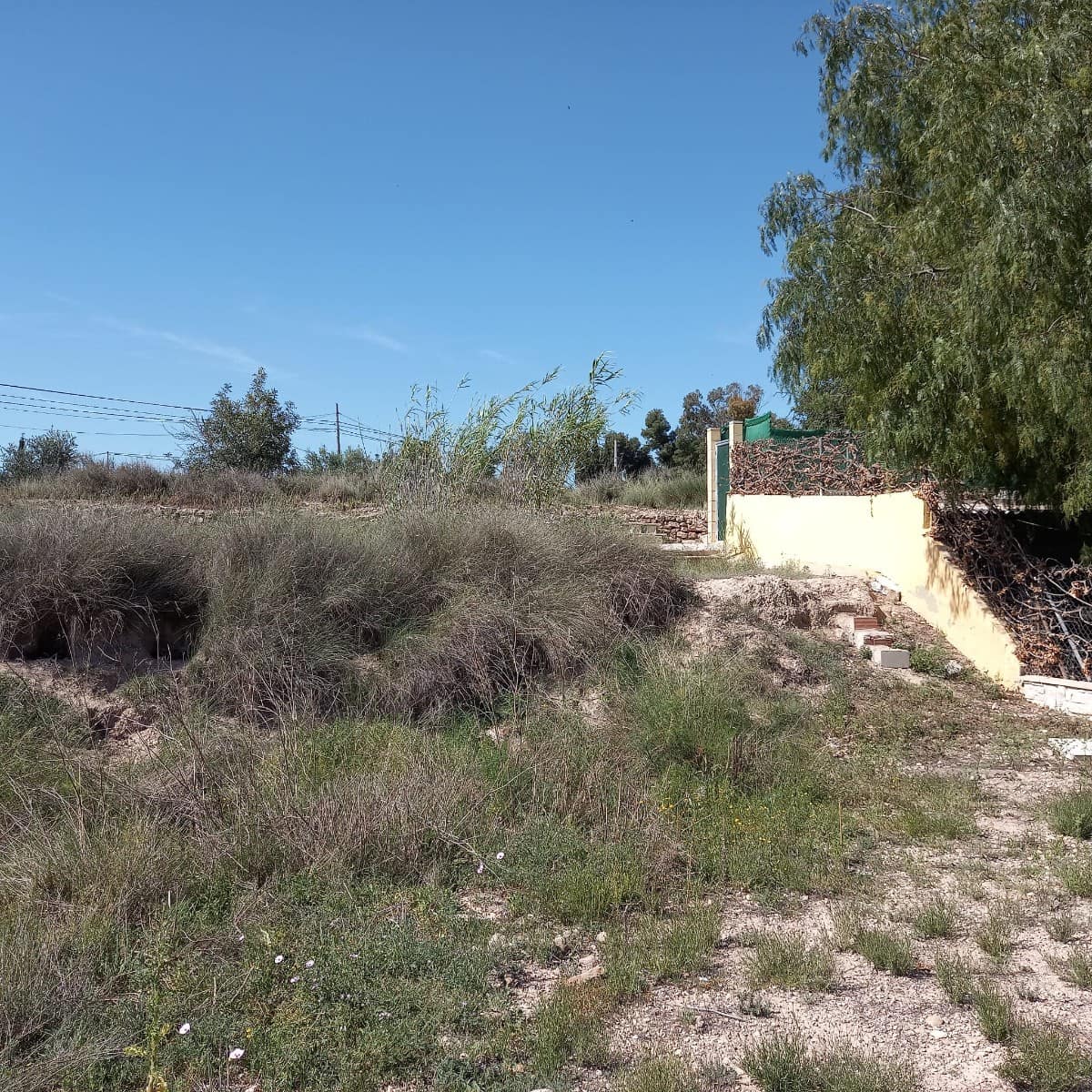 Grunde uden byggetilladelser til salg i Novelda - € 55.000 (Ref: 8762599)