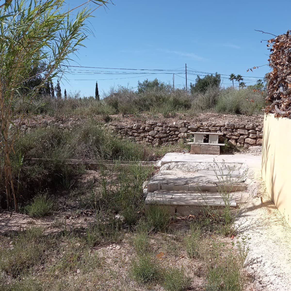 Grunde uden byggetilladelser til salg i Novelda - € 55.000 (Ref: 8762599)