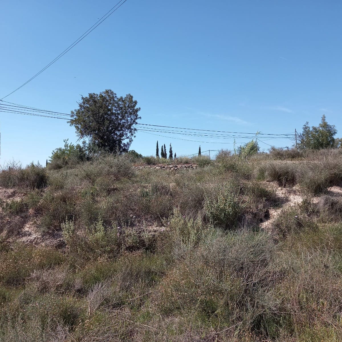 Grunde uden byggetilladelser til salg i Novelda - € 55.000 (Ref: 8762599)