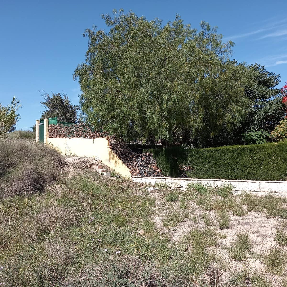 Grunde uden byggetilladelser til salg i Novelda - € 55.000 (Ref: 8762599)