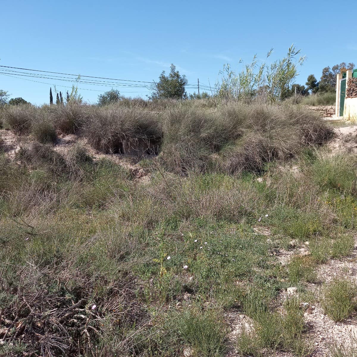 Grunde uden byggetilladelser til salg i Novelda - € 55.000 (Ref: 8762599)