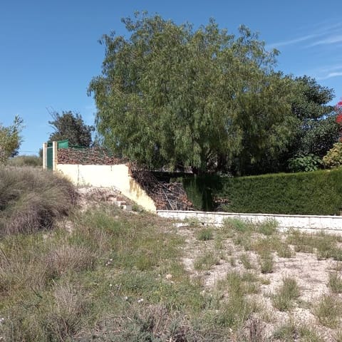 Mark till salu i Novelda - 55 000 € (Ref: 8762599)