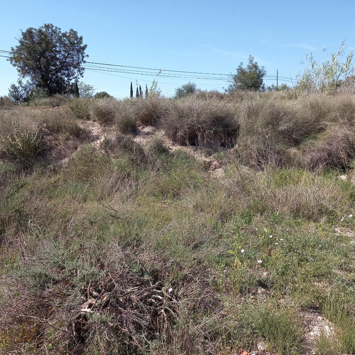 Grunde uden byggetilladelser til salg i Novelda - € 55.000 (Ref: 8762599)