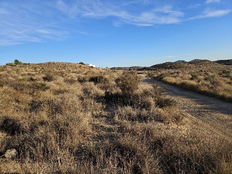 Grunde uden byggetilladelser til salg i Elda - € 49.000 (Ref: 8762600)