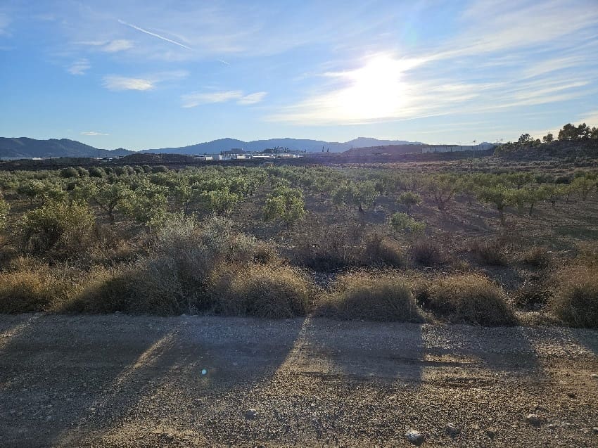 Grunde uden byggetilladelser til salg i Elda - € 49.000 (Ref: 8762600)