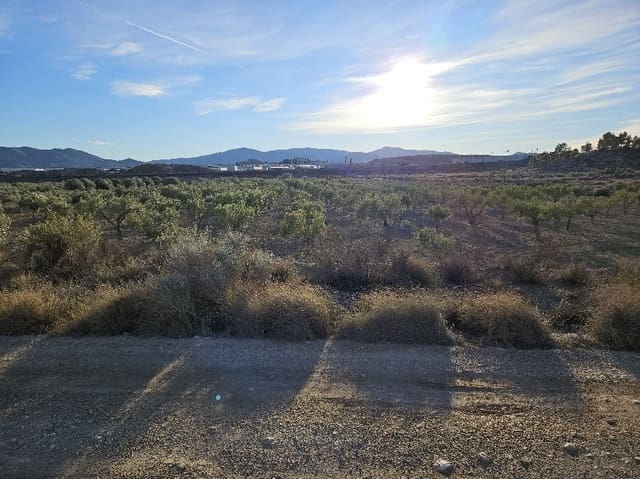 Mark till salu i Elda - 49 000 € (Ref: 8762600)