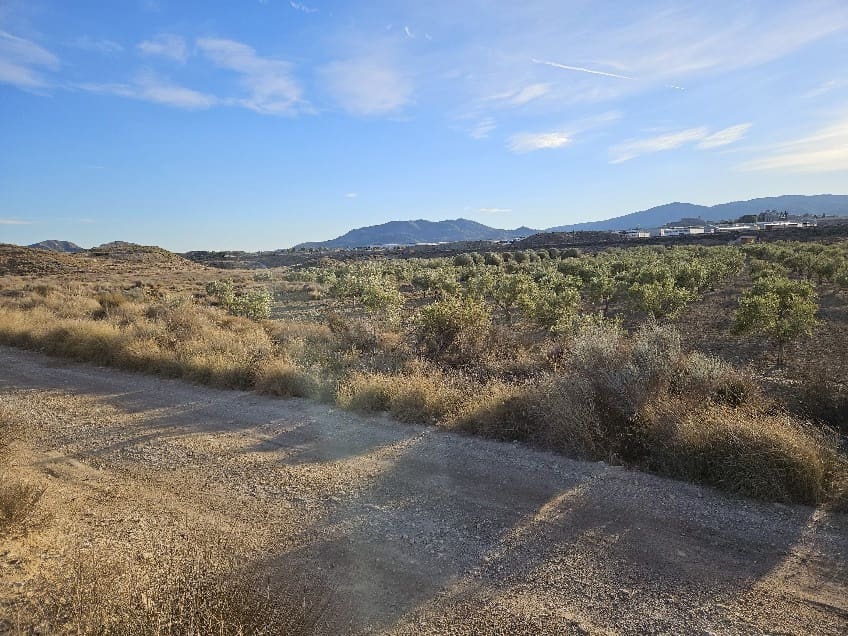 Grunde uden byggetilladelser til salg i Elda - € 49.000 (Ref: 8762600)