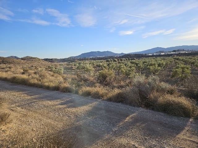 Mark till salu i Elda - 49 000 € (Ref: 8762600)