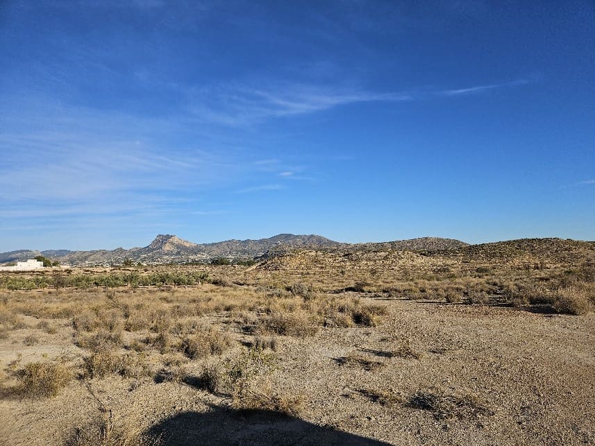 Grunde uden byggetilladelser til salg i Elda - € 195.000 (Ref: 8762602)