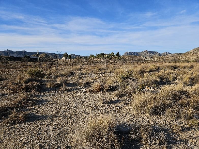 Grunde uden byggetilladelser til salg i Elda - € 195.000 (Ref: 8762602)