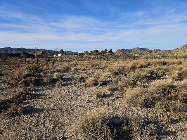 Mark till salu i Elda - 195 000 € (Ref: 8762602)