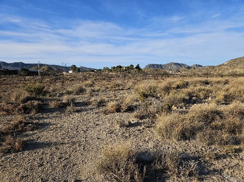 Grunde uden byggetilladelser til salg i Elda - € 195.000 (Ref: 8762602)