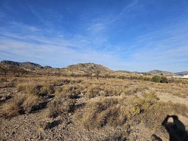 Mark till salu i Elda - 195 000 € (Ref: 8762602)