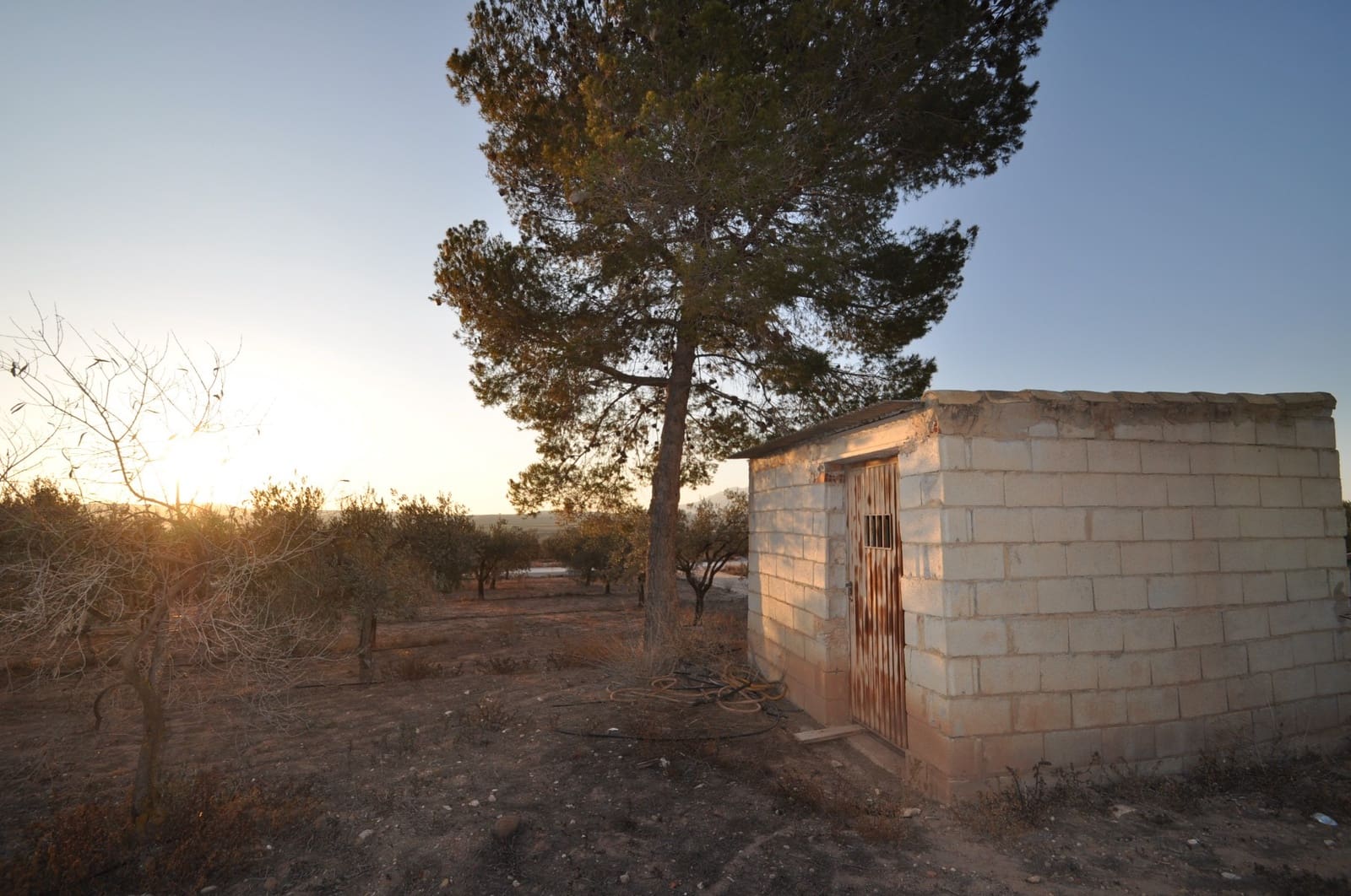 Grond te koop in Pinoso - € 65.995 (Ref: 8788729)