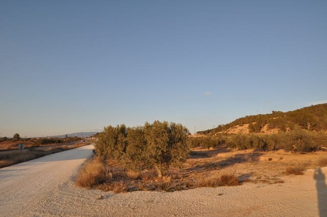 Grond te koop in Pinoso - € 65.995 (Ref: 8788729)