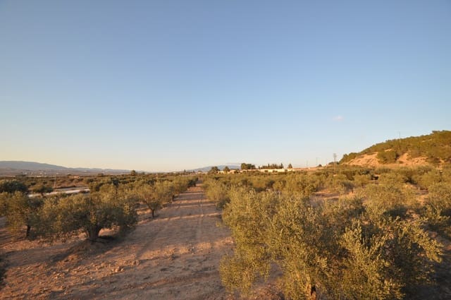 Grond te koop in Pinoso - € 65.995 (Ref: 8788729)