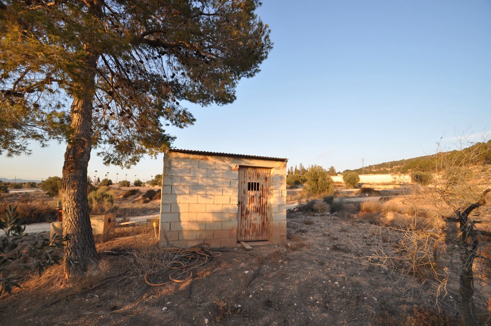 Grond te koop in Pinoso - € 65.995 (Ref: 8788729)