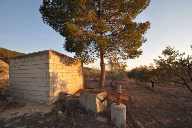 Grond te koop in Pinoso - € 65.995 (Ref: 8788729)