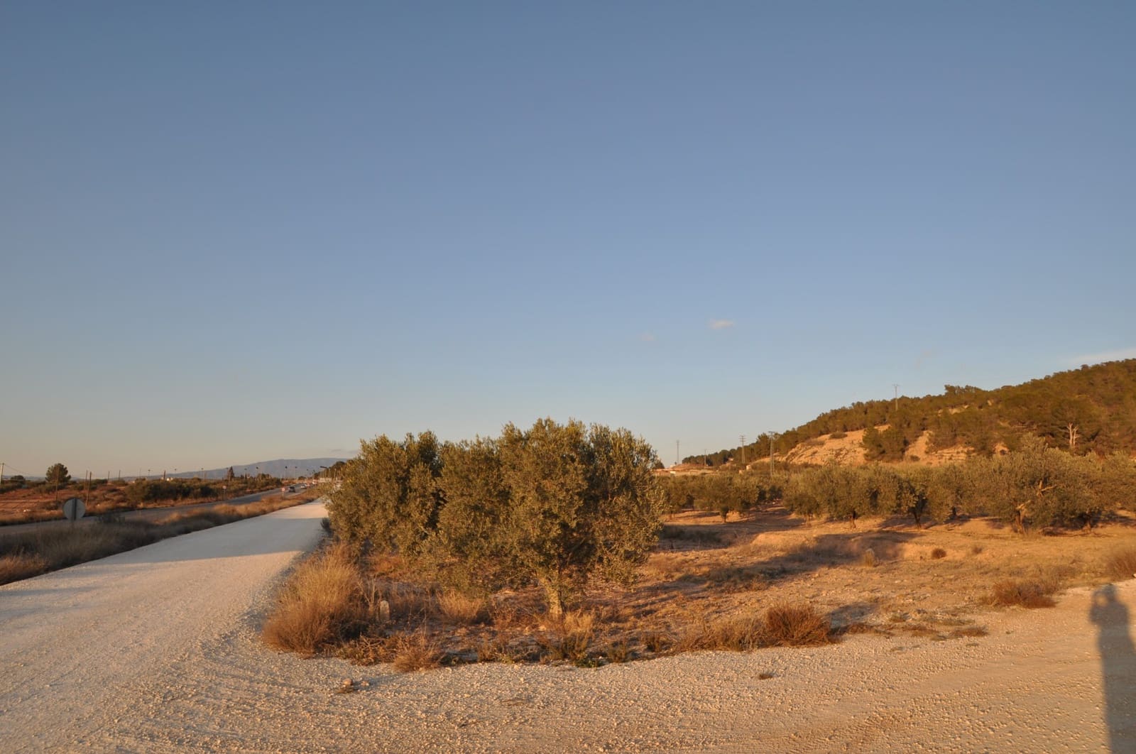 Ubebygd land til salgs i Pinoso - € 65 995 (Ref: 8788729)