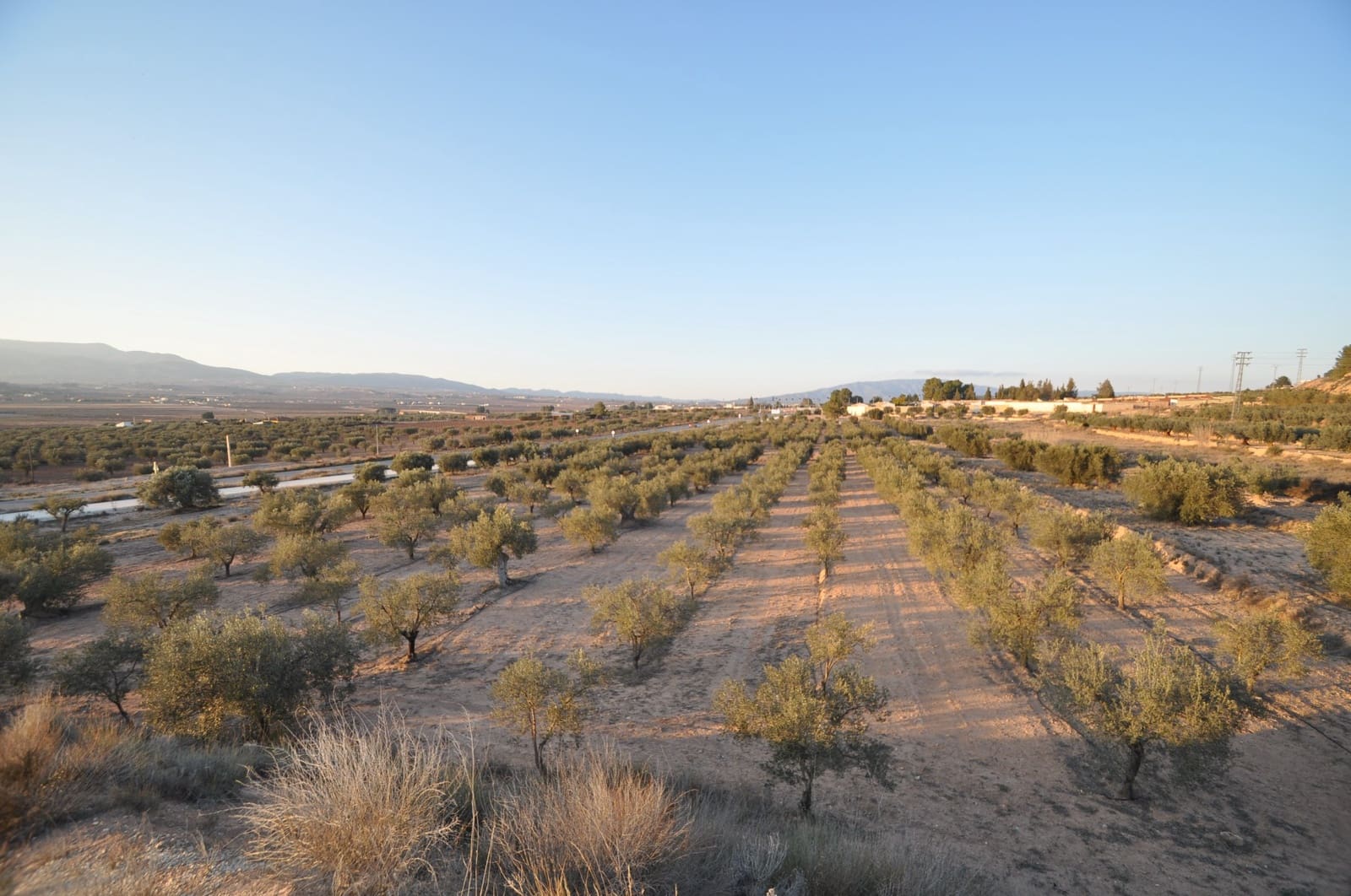 Ubebygd land til salgs i Pinoso - € 65 995 (Ref: 8788729)