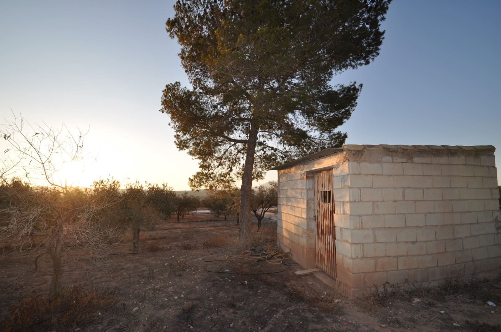 Ubebygd land til salgs i Pinoso - € 65 995 (Ref: 8788729)
