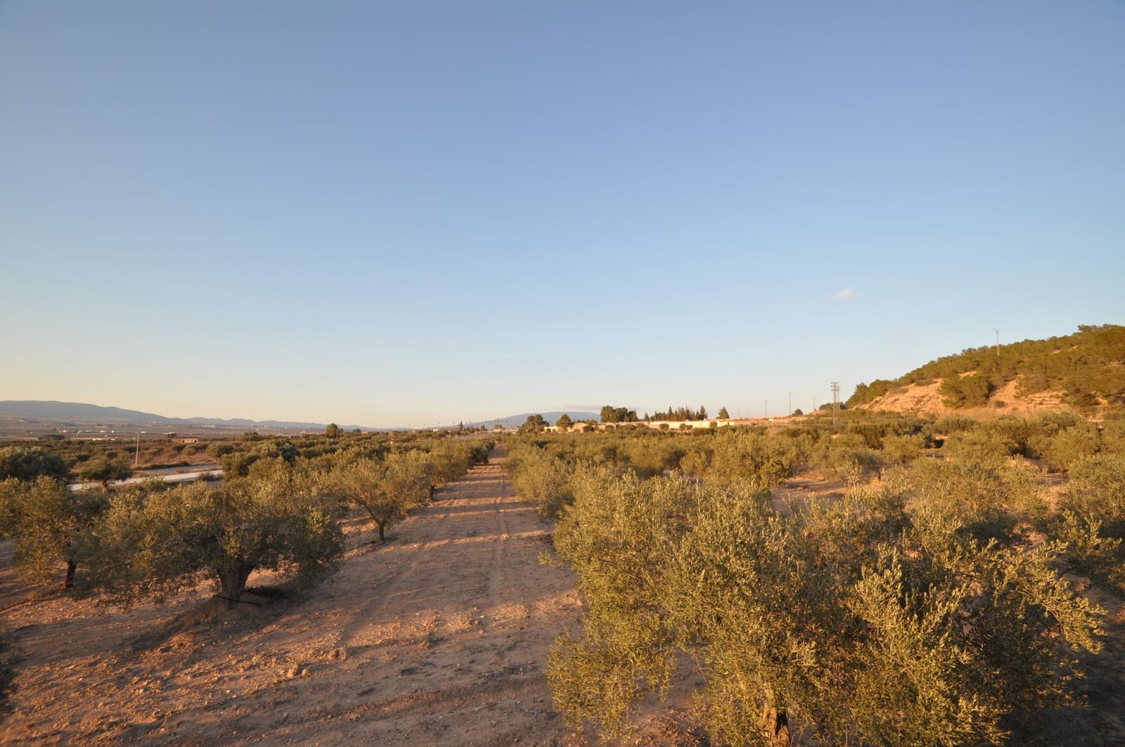 Ubebygd land til salgs i Pinoso - € 65 995 (Ref: 8788729)
