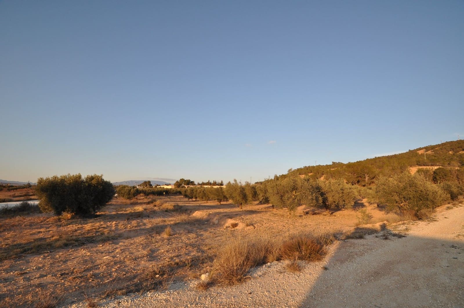 Undeveloped Land for sale in Pinoso - € 65,995 (Ref: 8788729)