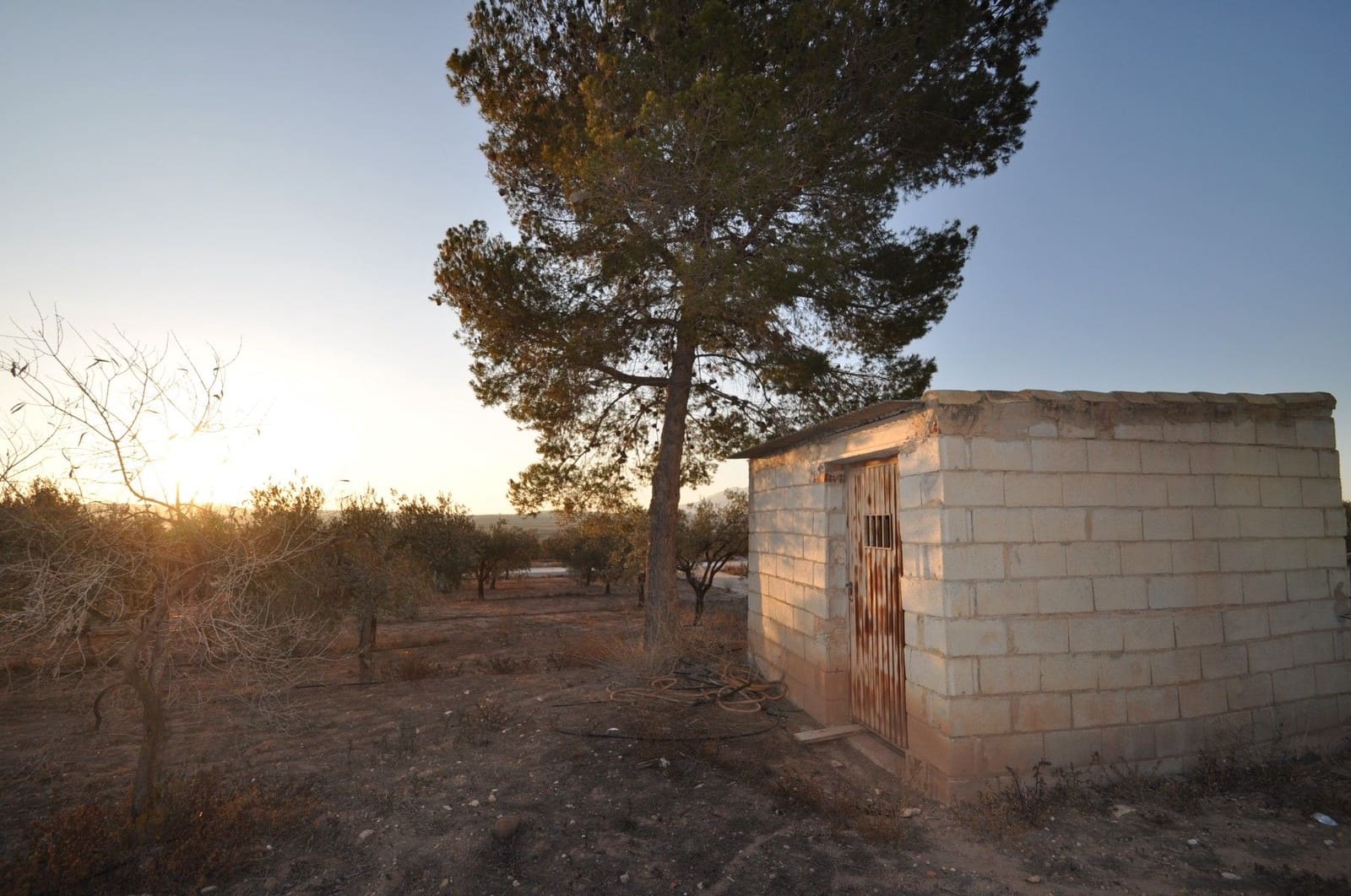Undeveloped Land for sale in Pinoso - € 65,995 (Ref: 8788729)