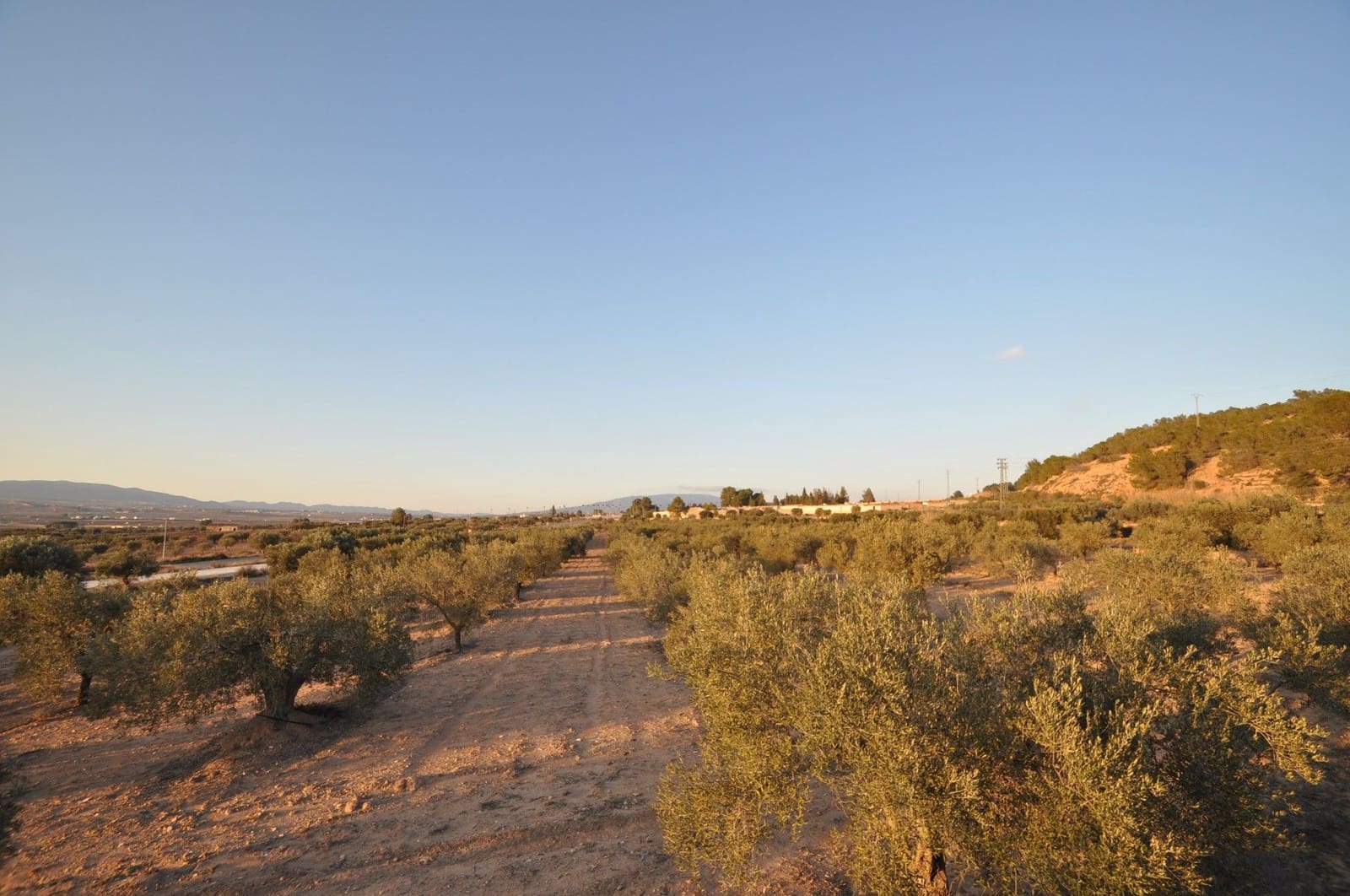 Undeveloped Land for sale in Pinoso - € 65,995 (Ref: 8788729)