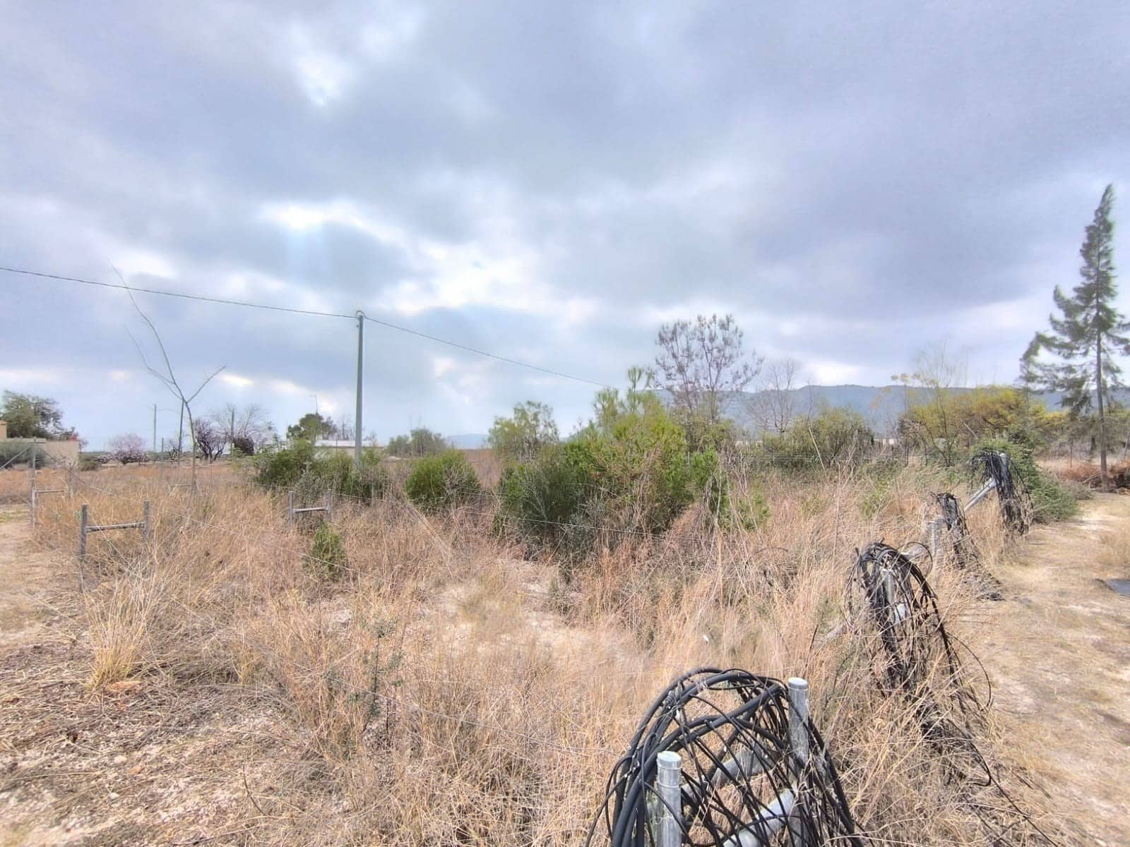 Erhverv til salg i Aspe - € 199.995 (Ref: 8834762)