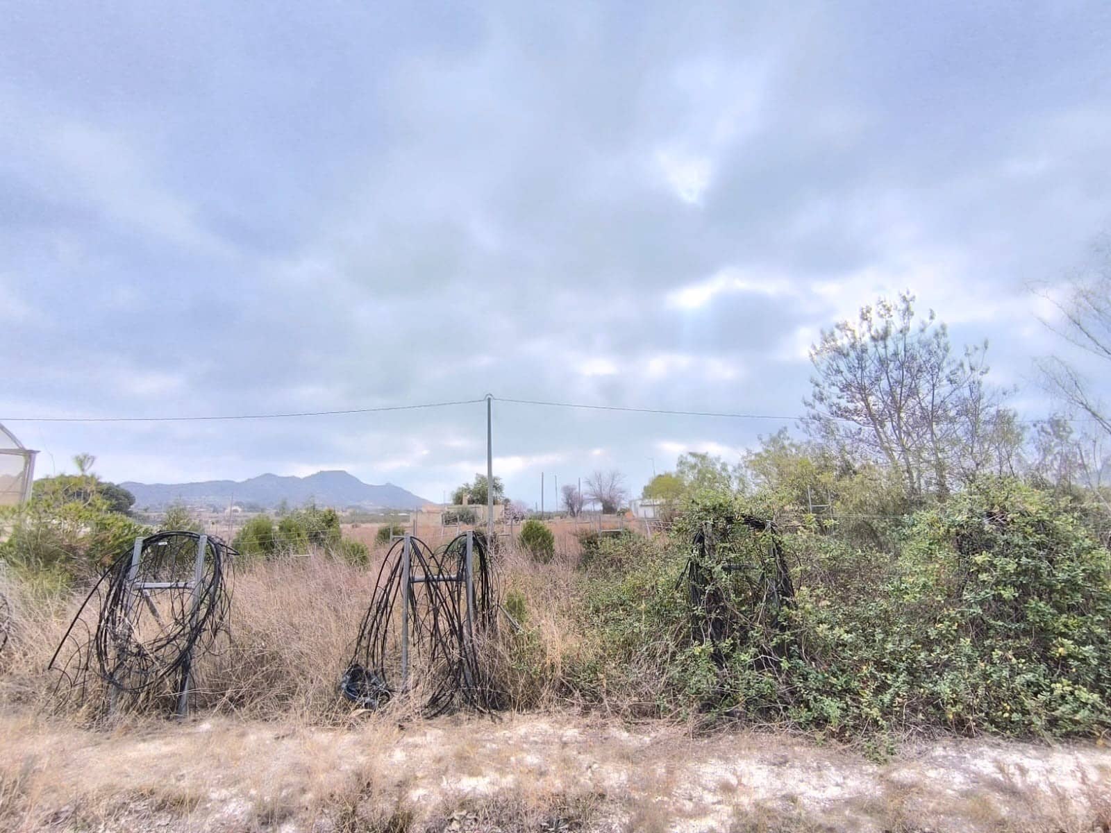 Erhverv til salg i Aspe - € 199.995 (Ref: 8834762)