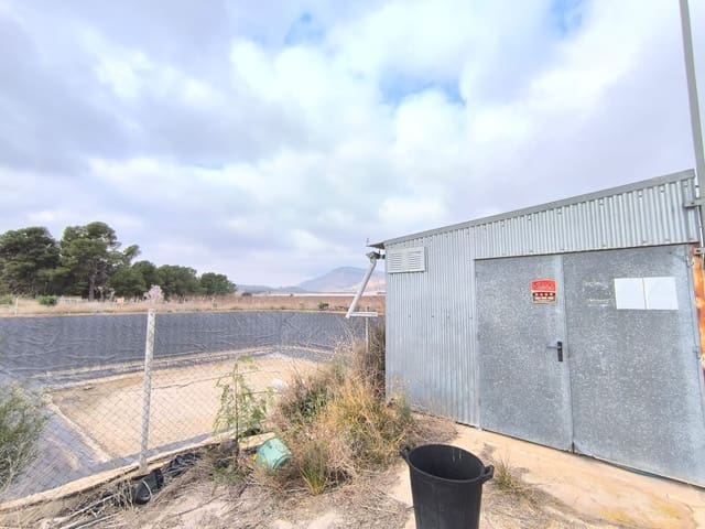 Commercial for sale in Aspe - € 199,995 (Ref: 8834762)