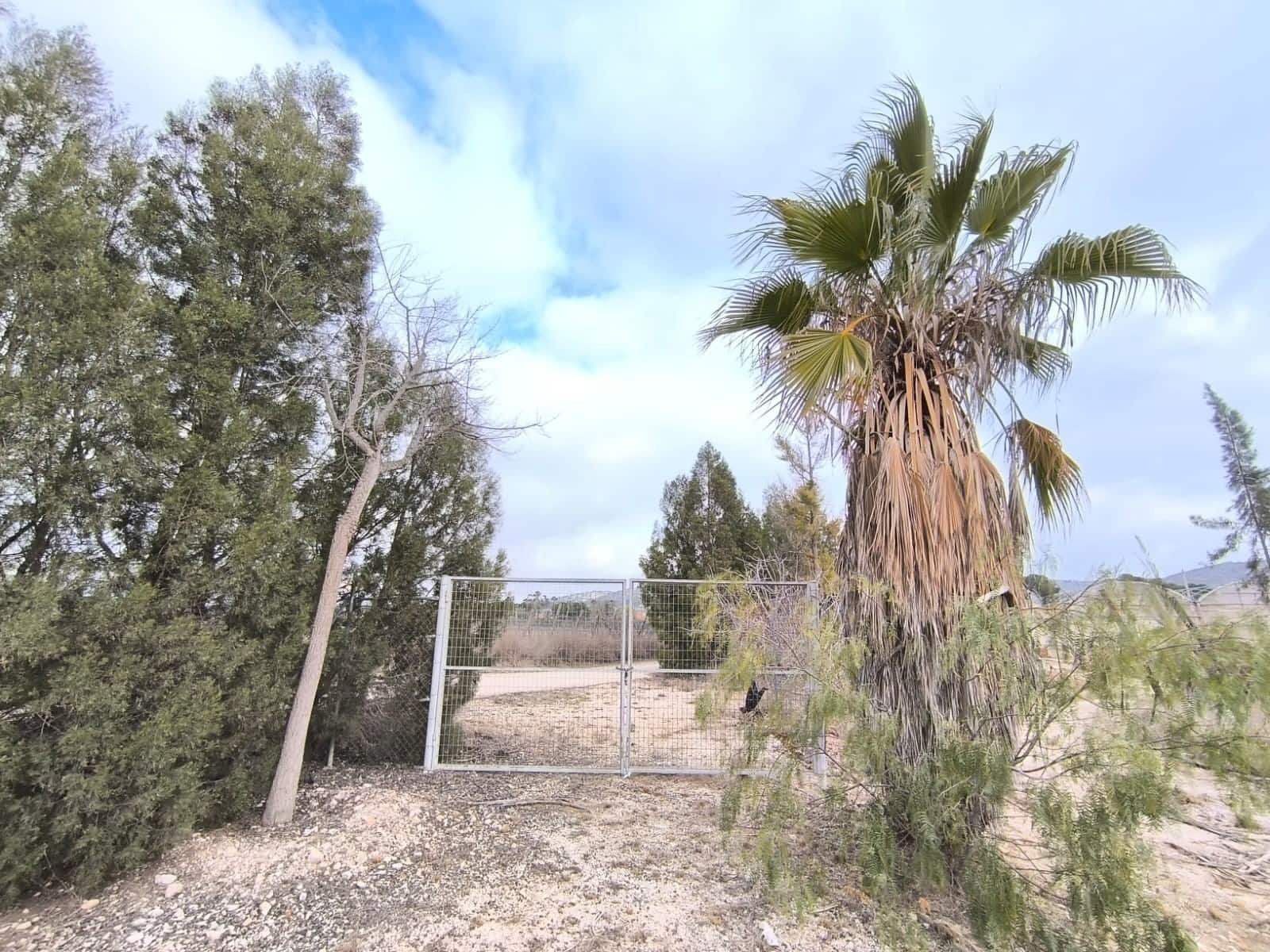 Erhverv til salg i Aspe - € 199.995 (Ref: 8834762)