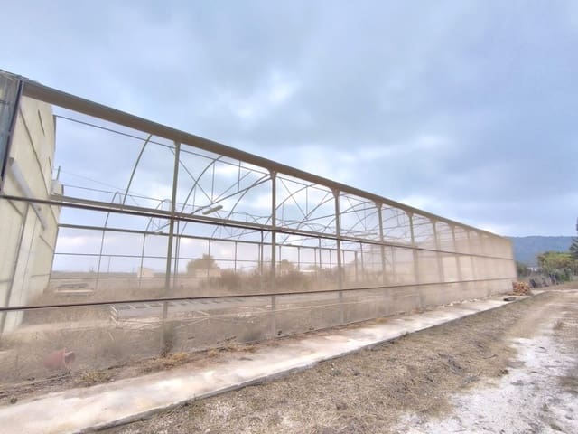 Komercyjne na sprzedaż w Aspe z garażem - 199 995 € (Ref: 8834762)