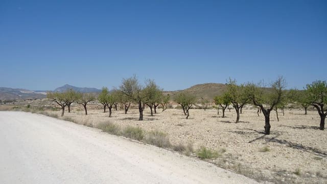 Terre non Aménagée à vendre à Abanilla - 26 900 € (Ref: 8834765)