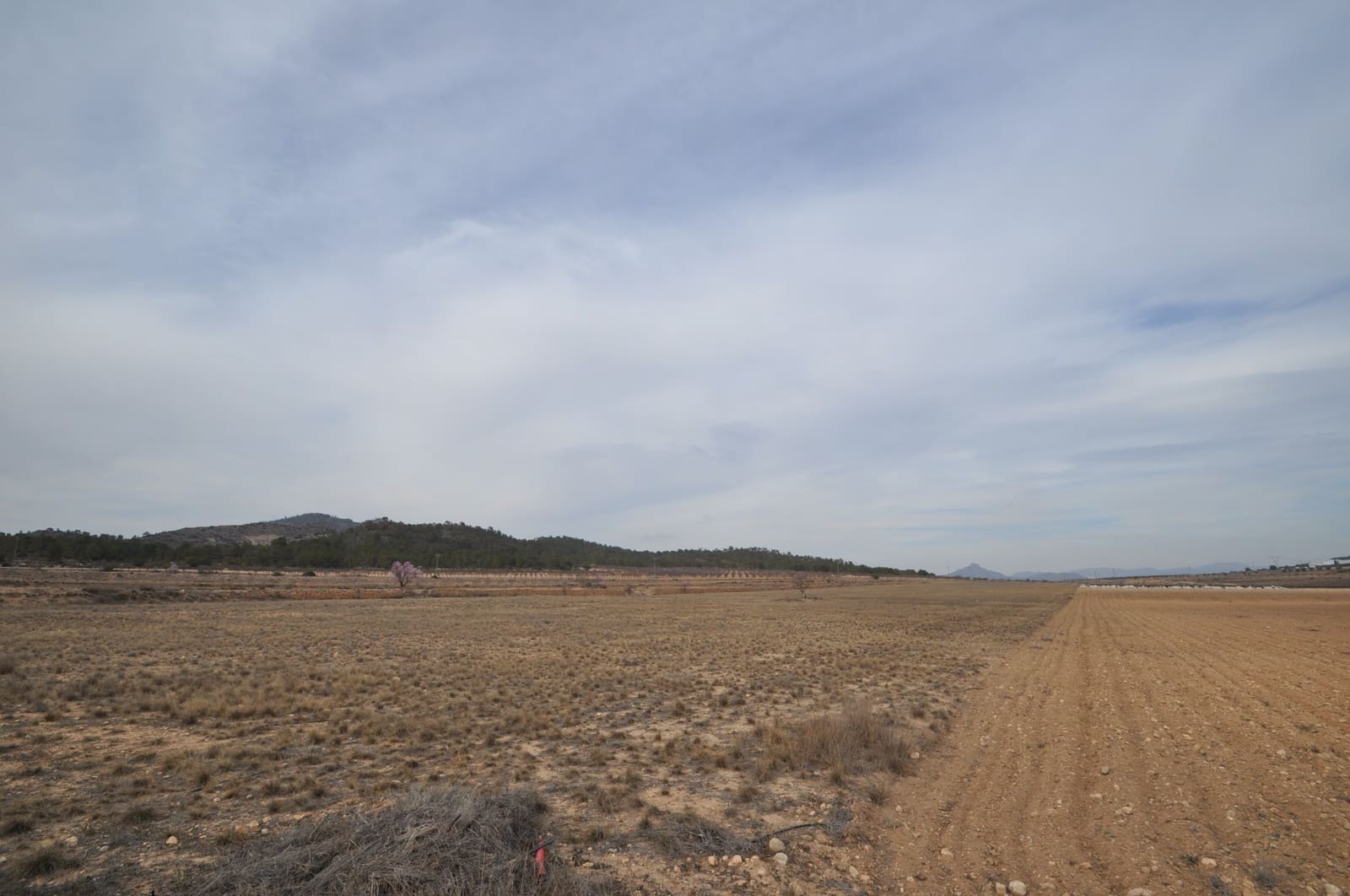 Grunde uden byggetilladelser til salg i Monovar / Monover - € 75.995 (Ref: 8834767)