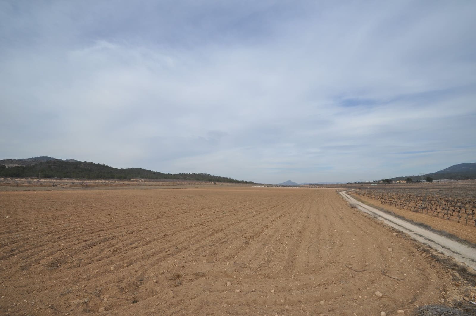 Grond te koop in Monovar / Monover - € 106.995 (Ref: 8834768)