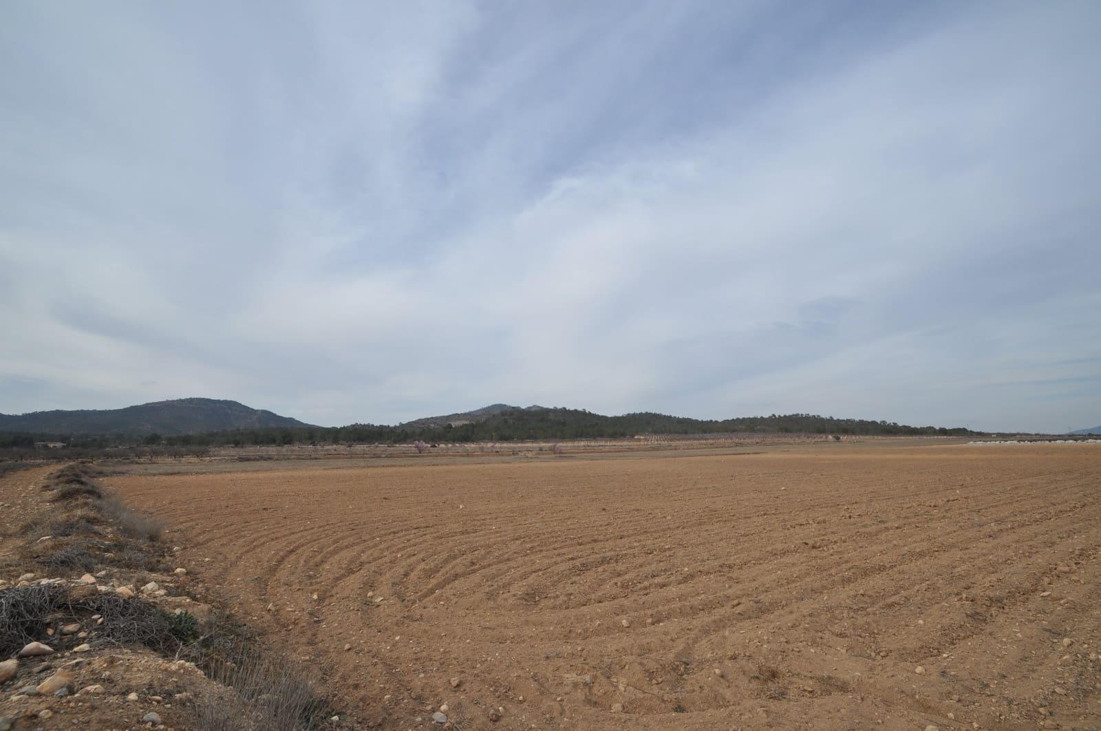Terreno Non Edificato in vendita in Monovar / Monover - 106.995 € (Rif: 8834768)