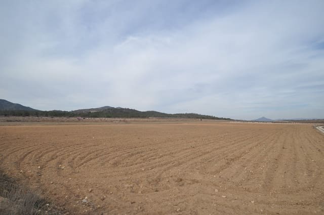 Undeveloped Land for sale in Monóvar / Monóver - € 106,995 (Ref: 8834768)