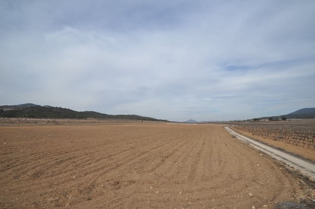 Undeveloped Land for sale in Monóvar / Monóver - € 106,995 (Ref: 8834768)