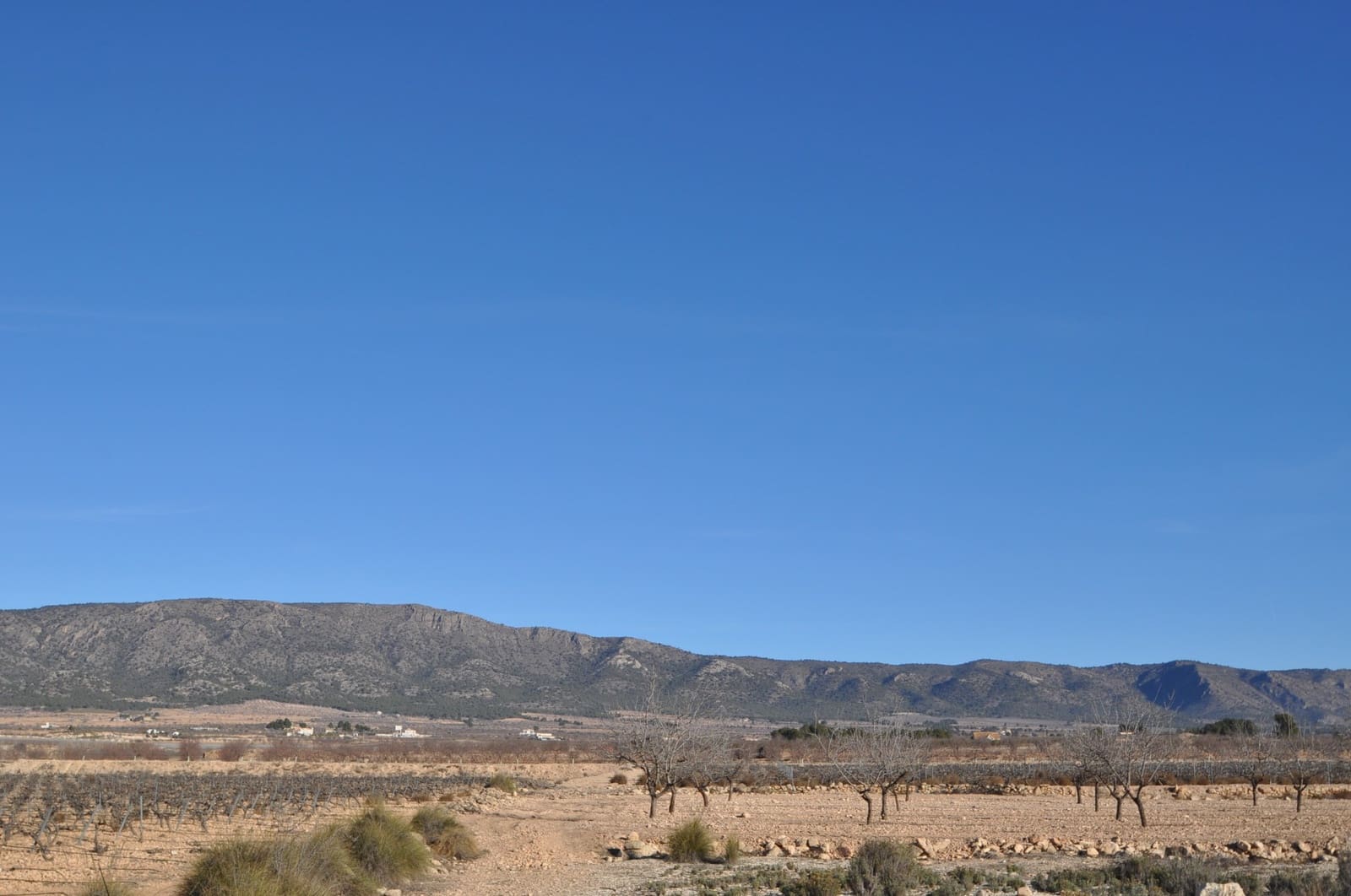 Grunde uden byggetilladelser til salg i Pinoso - € 9.995 (Ref: 8834771)