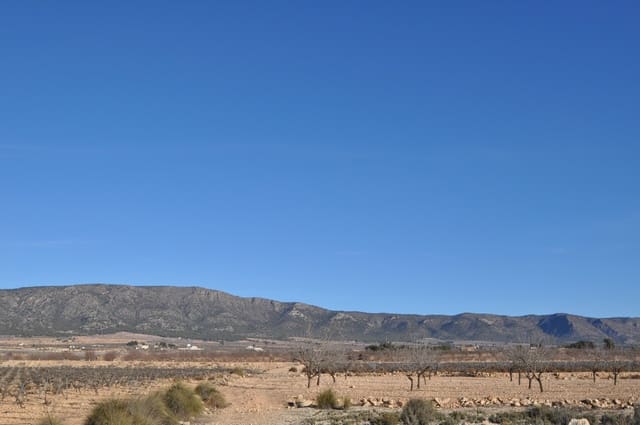 Grunde uden byggetilladelser til salg i Pinoso - € 9.995 (Ref: 8834771)