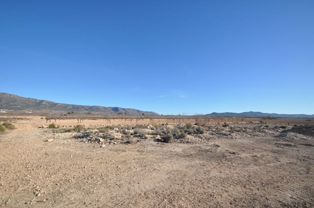 Grunde uden byggetilladelser til salg i Pinoso - € 9.995 (Ref: 8834771)