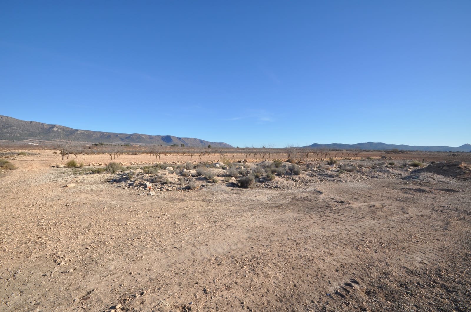 Grunde uden byggetilladelser til salg i Pinoso - € 9.995 (Ref: 8834771)