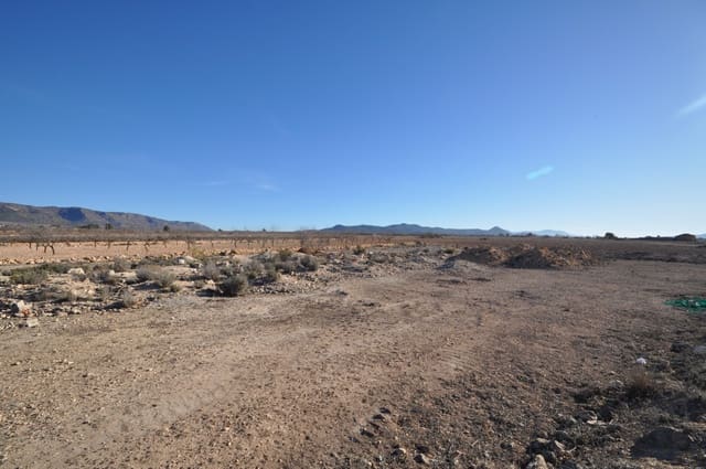 Grunde uden byggetilladelser til salg i Pinoso - € 9.995 (Ref: 8834771)