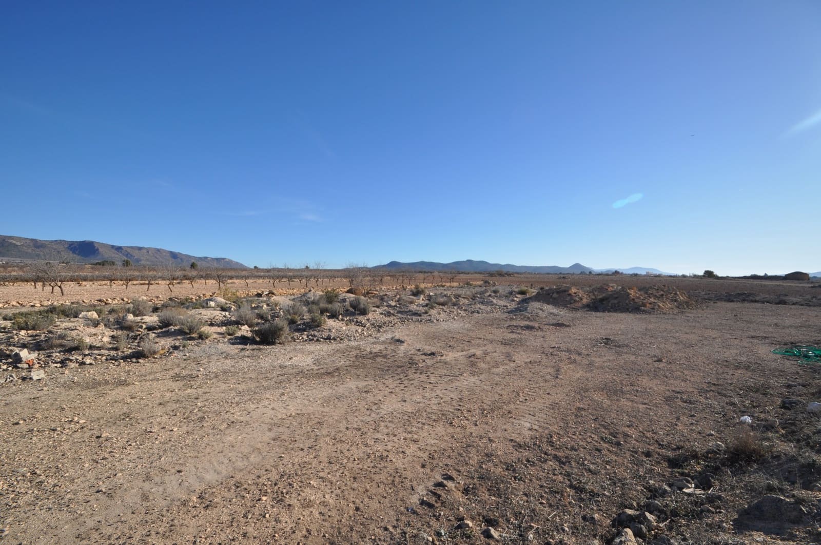 Terre non Aménagée à vendre à Pinoso - 9 995 € (Ref: 8834771)